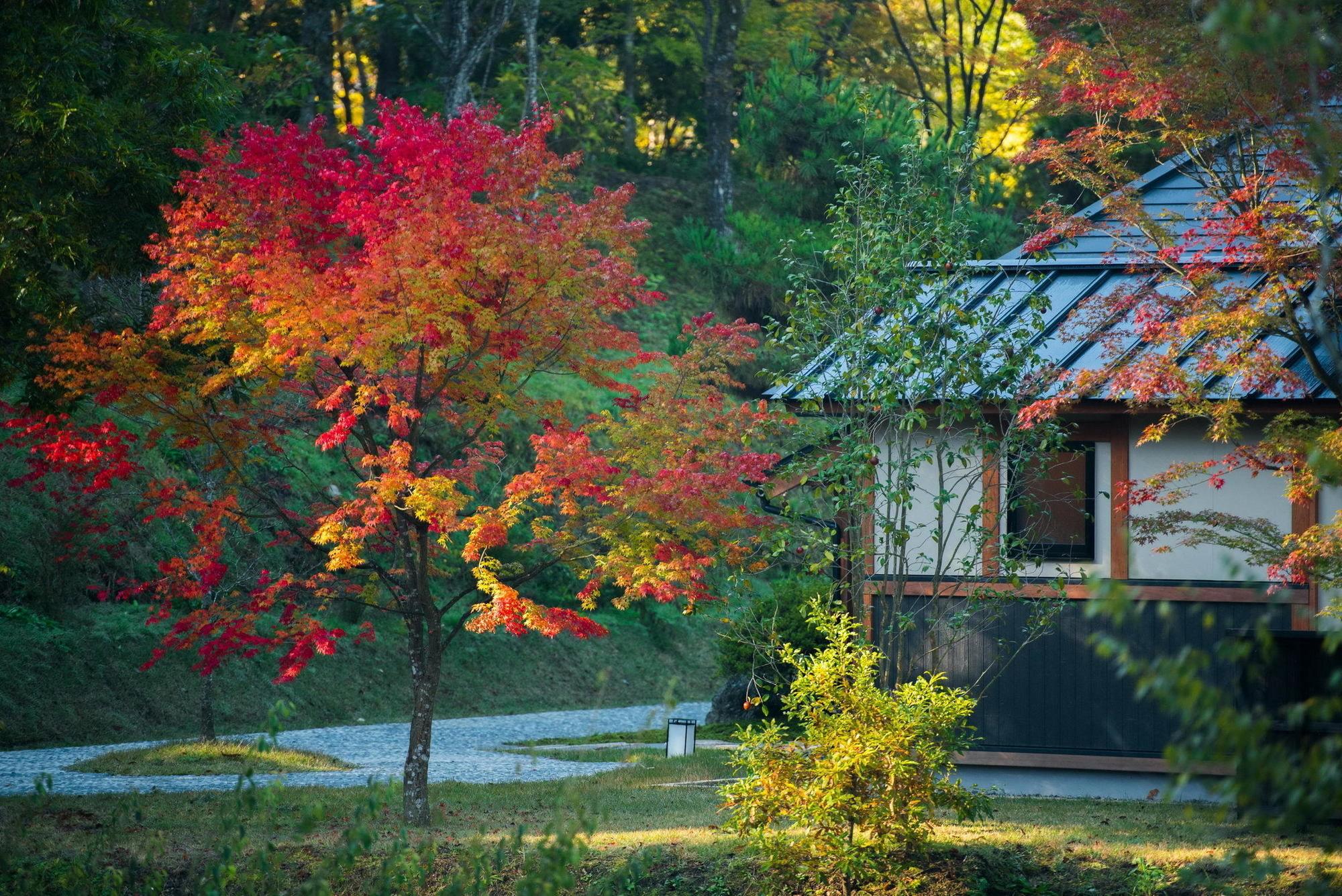 Miyama Sansou Hotel Minamioguni Exterior foto